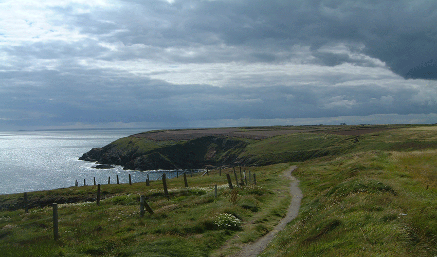 Ardmore Headland By John King