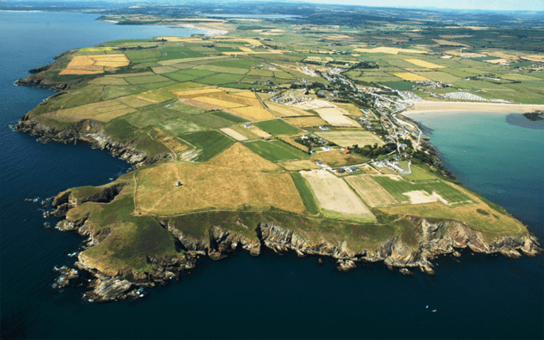 Discover Ardmore Open Farm: A Family Adventure in County Waterford