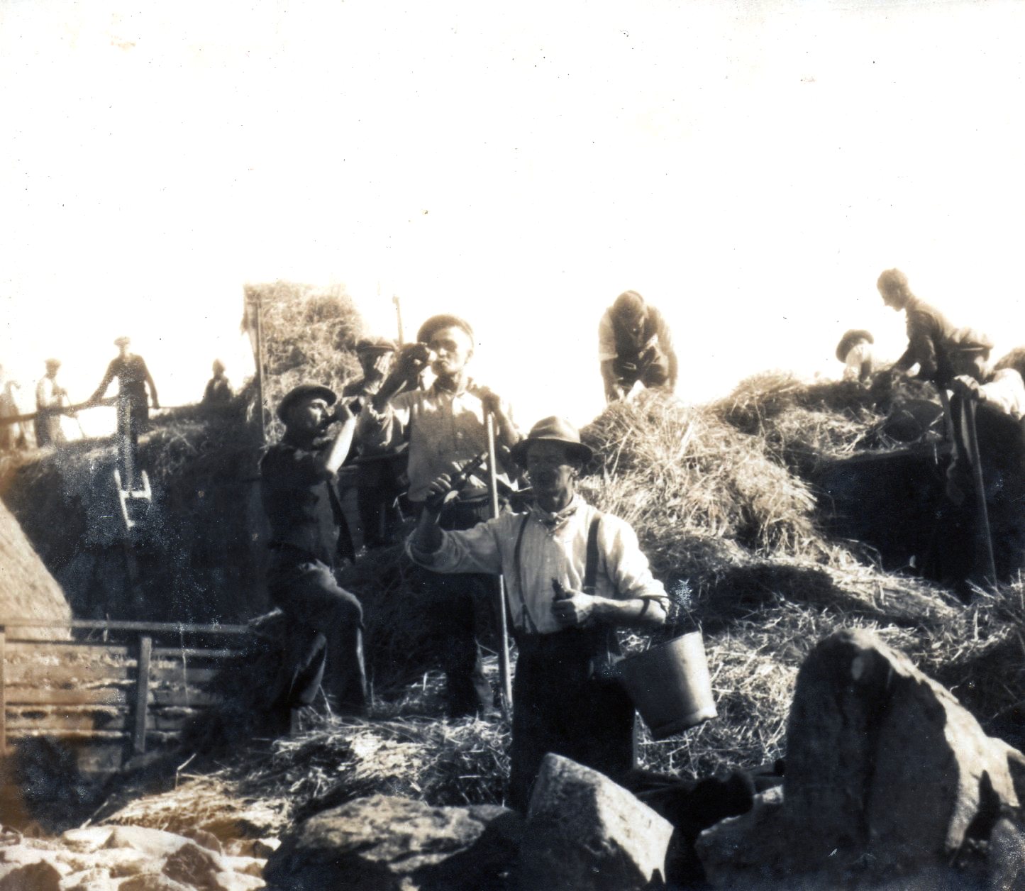 Power To The People – A Family At Harvest Time In Ardmore