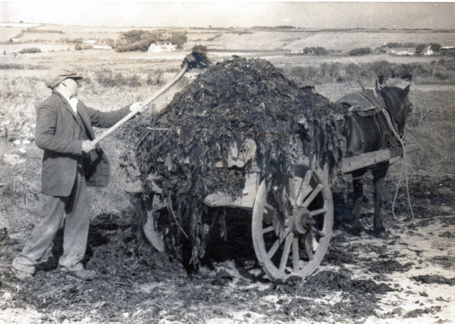 Power To The People – A Family At Harvest Time In Ardmore