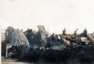 Power To The People – A Family At Harvest Time In Ardmore