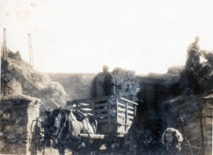 Power To The People – A Family At Harvest Time In Ardmore