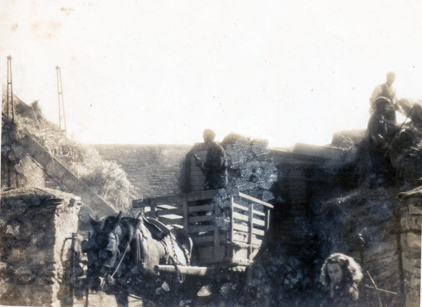 Power To The People – A Family At Harvest Time In Ardmore