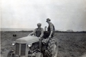 Power To The People – A Family At Harvest Time In Ardmore