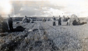 Power To The People – A Family At Harvest Time In Ardmore