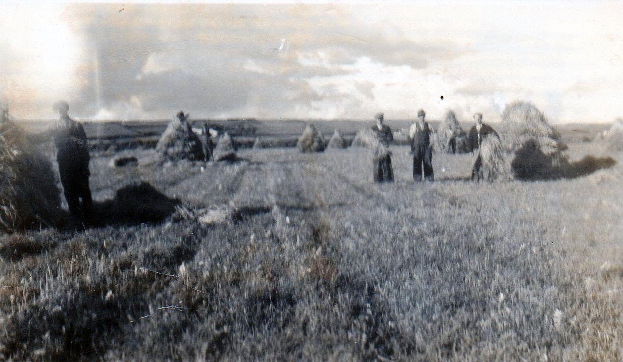 Power To The People – A Family At Harvest Time In Ardmore