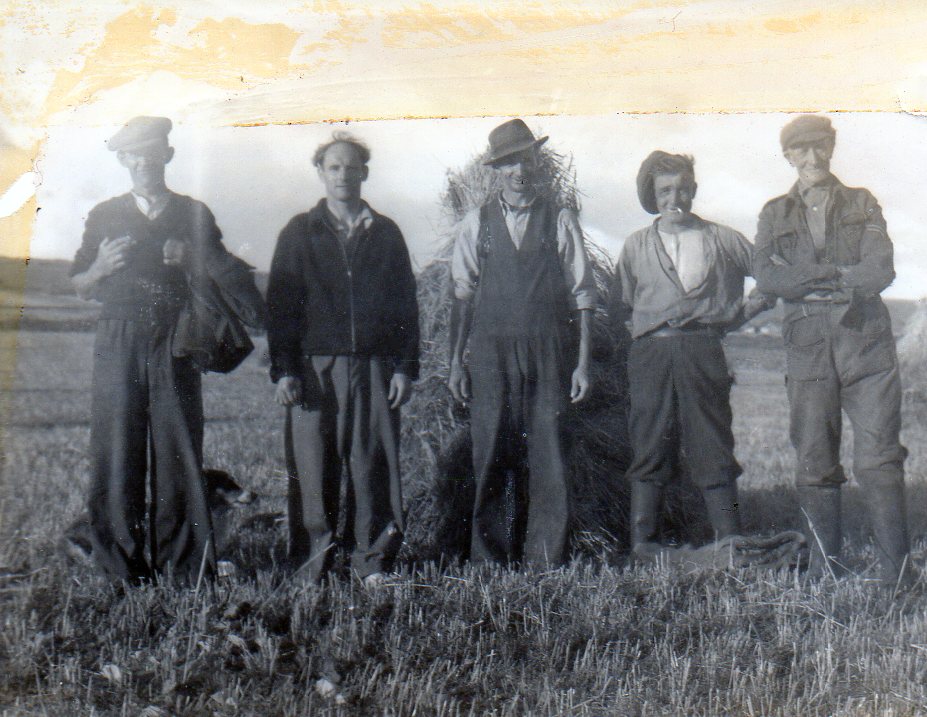 Power To The People – A Family At Harvest Time In Ardmore