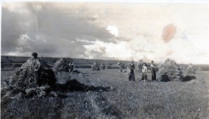 Power To The People – A Family At Harvest Time In Ardmore