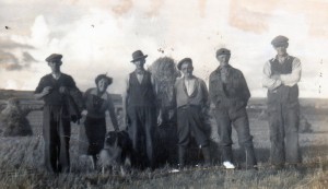 Power To The People – A Family At Harvest Time In Ardmore
