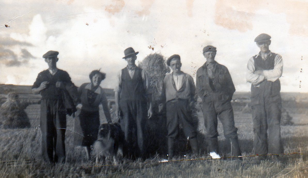 Power To The People – A Family At Harvest Time In Ardmore
