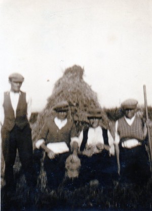 Power To The People – A Family At Harvest Time In Ardmore