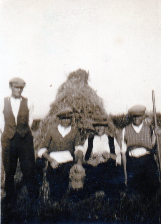 Power To The People – A Family At Harvest Time In Ardmore
